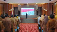 liputankpk.com