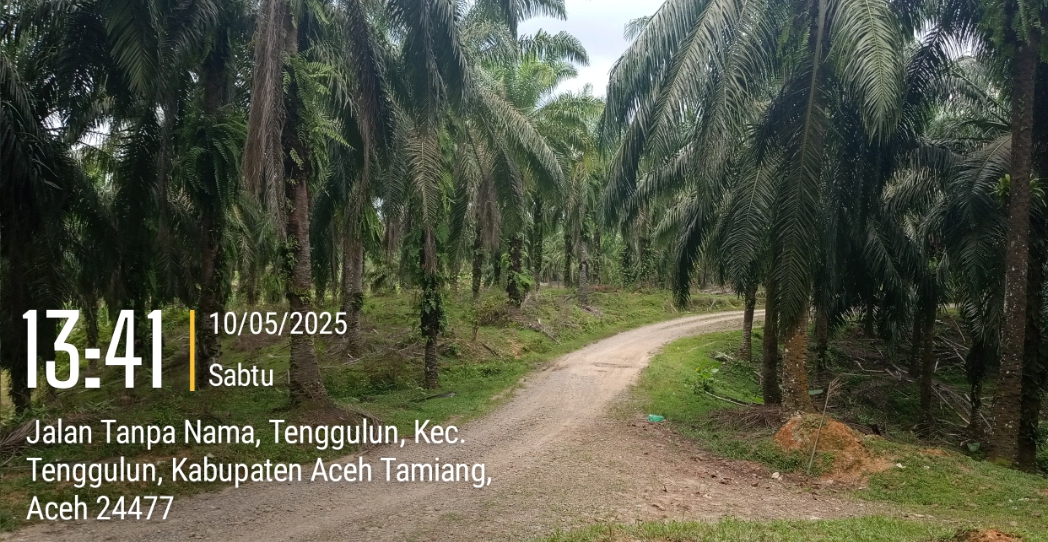 2025-05-10 13.41.47_Jalan Tanpa Nama_(Nama-M474C4M3R4.ID)_1