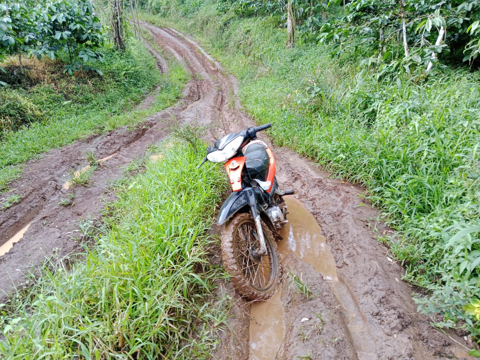 IMG-20250510-WA0002