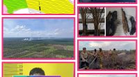 IMG-20250516-WA0030