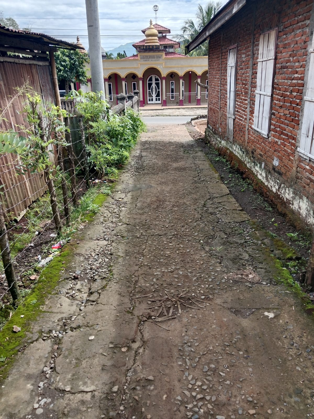 IMG-20250516-WA0067