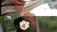IMG_20250510_014841