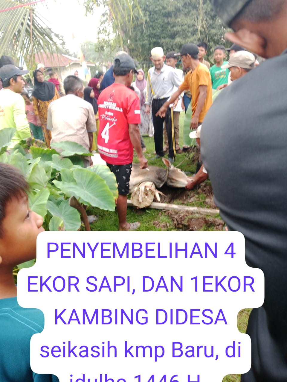 IMG-20250606-WA0020