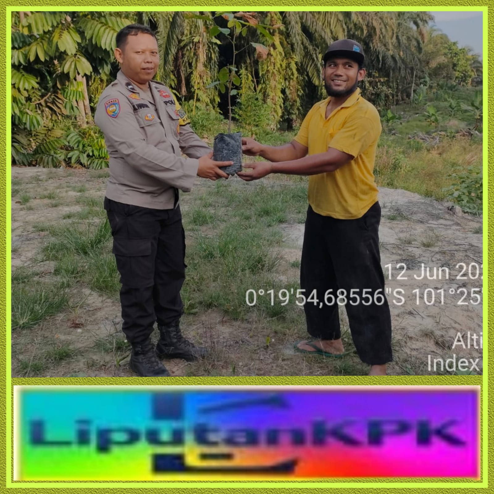 IMG-20250612-WA0031