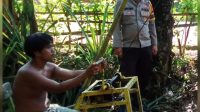 IMG-20250619-WA0251