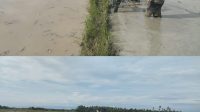 IMG-20250627-WA0045