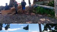 IMG_20250626_122630