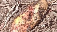 IMG_20250630_095858