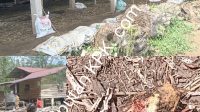 IMG_20250630_232500