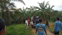 IMG-20250713-WA0061
