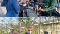 IMG_20250721_095557