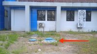 IMG-20250803-WA0039