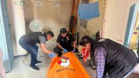 IMG-20250819-WA0033