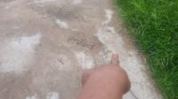 IMG-20250820-WA0069