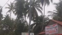 IMG-20250821-WA0167
