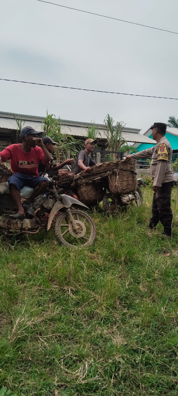 IMG-20250826-WA0019