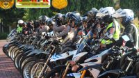 IMG-20250902-WA0137