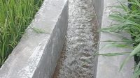 IMG-20250902-WA0156