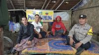 IMG-20250917-WA0056