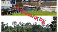 Oplus_16908288