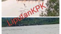 Oplus_16908288