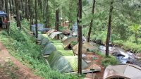 IMG-20251002-WA0032 Suasana Glamping di pinggir Sungai