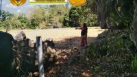 IMG-20251013-WA0116