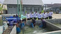 IMG-20251020-WA0056