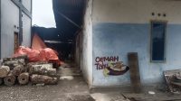 IMG_20251026_105211