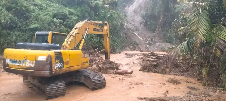 1764255966533