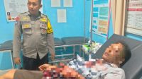 IMG-20251101-WA0017