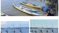 IMG-20251103-WA0177