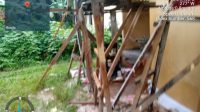 IMG-20251126-WA0001