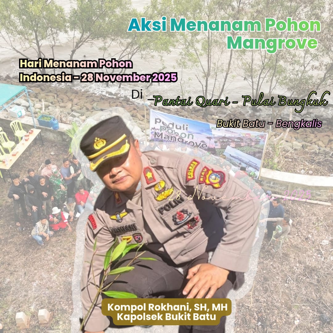 IMG-20251129-WA0041