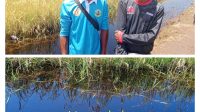 Oplus_16908288