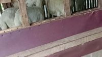 IMG_20251105_220226