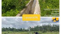 Oplus_16908288