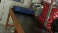 IMG_20251125_065831