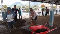 IMG-20260105-WA0030