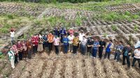 IMG-20260324-WA0030