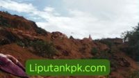 IMG-20260429-WA0095