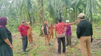 IMG-20260504-WA0048