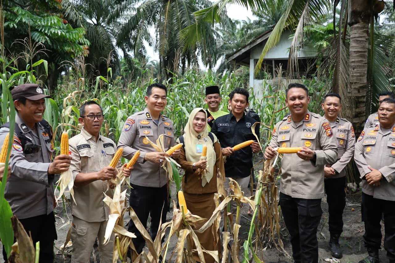 IMG-20260505-WA0006