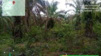 Screenshot_20260513-204032_1