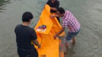 ImgResizer_IMG_20260726_160955