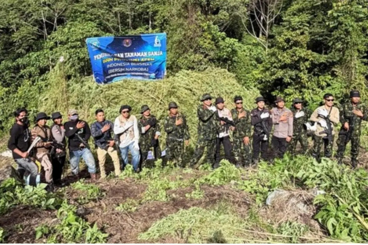 ganja-aceh-thumbnail-jay66rmo